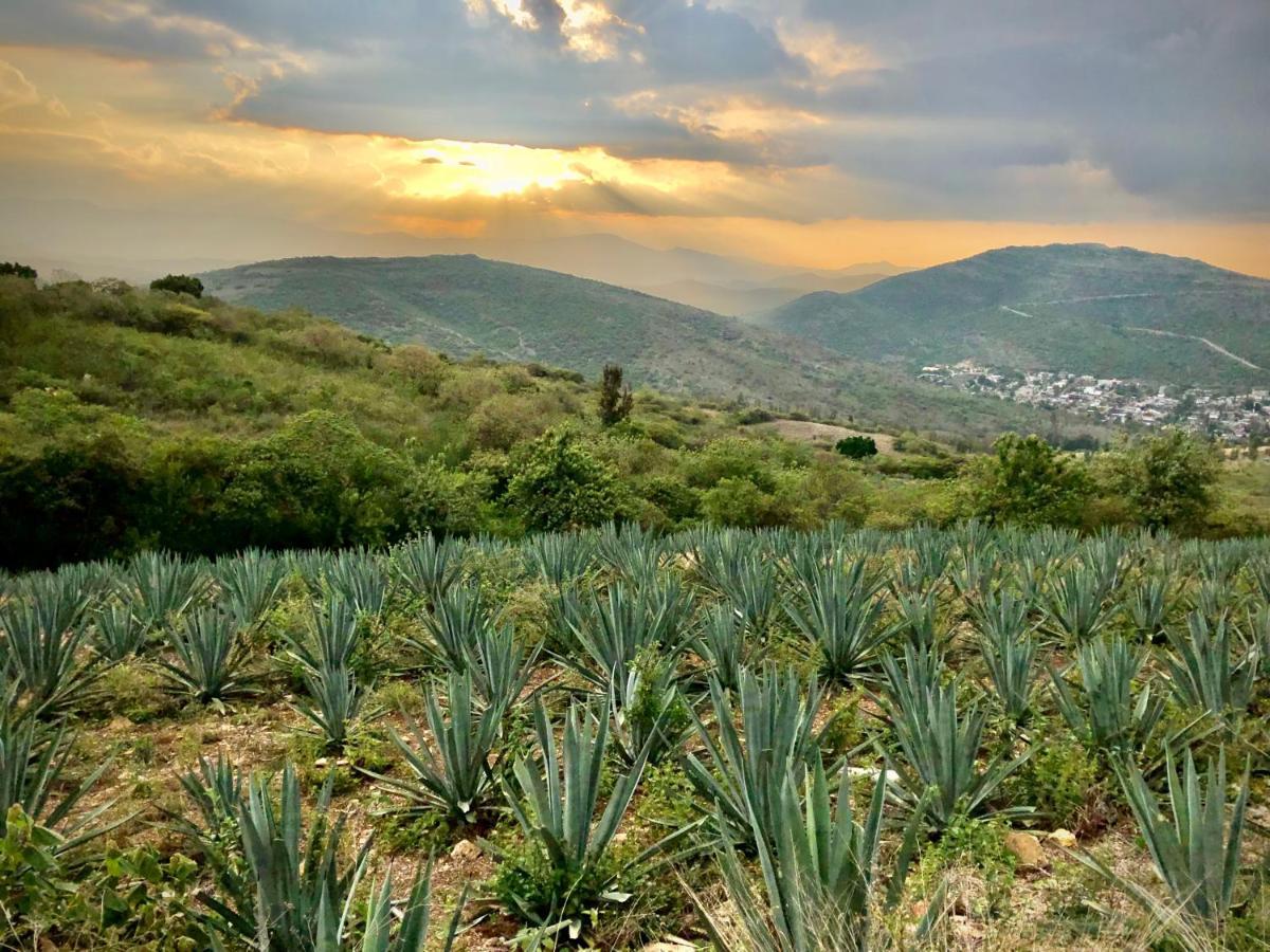 Beautiful Apartment In Oaxaca City'S Best Location 外观 照片