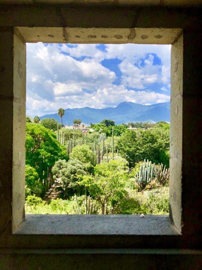 Beautiful Apartment In Oaxaca City'S Best Location 外观 照片